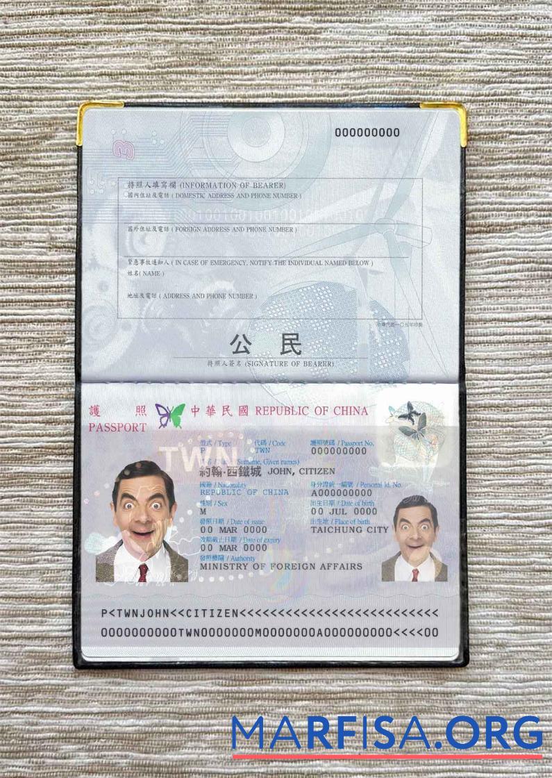 Printable Taiwan passport photo look download for verification